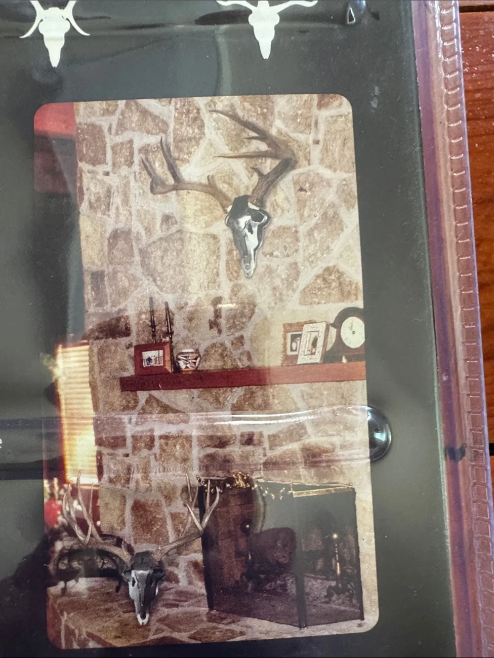 American Iron Buck Antler Mount